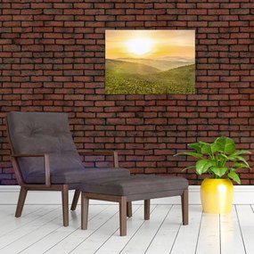 Tablou panoramatic (70x50 cm)
