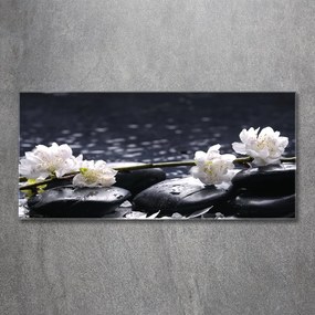 Pictura pe sticlă acrilică Floare de cires