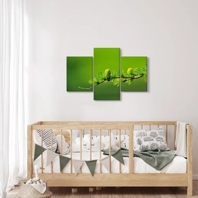 Tablou con verde (90x60 cm)