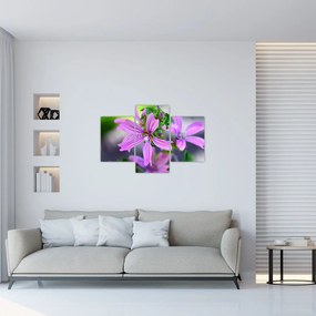 Tablou cu floarea detailat (90x60 cm)