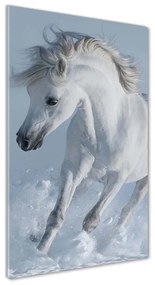 Tablou pe pe sticlă Cal alb în galop