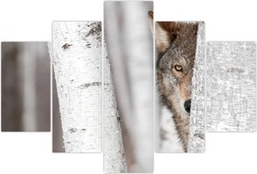 Tablou - Lup (150x105 cm)