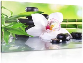 Tablou orhidee japoneză