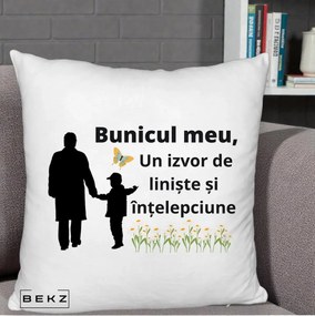 Cadou pentru Bunic - Perna Personalizata Bunicul Meu Izvor de Liniste cu Fluture si Baietel, 40x40 cm, Alb Pufos, Husa Detasabila, Perna Inclusa, BEKZ®