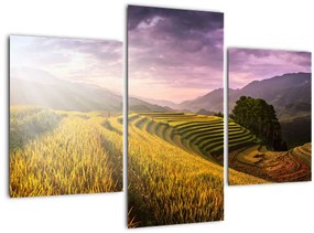 Tablou peisajului (90x60 cm)