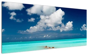 Tablou -  Plaja tropică (120x50 cm), în 40 de alte dimensiuni noi