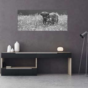 Tablou - Vacă scoțiană 5,alb-negru (120x50 cm)