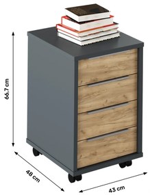 Dulap grafit/stejar artisan, RIOMA NEW TYP 14