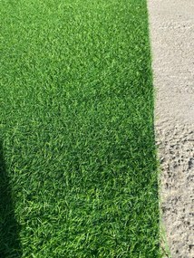 Gazon artificial / covor iarba decorativa verde Leisure, inaltime fir 15 mm, cu micro orificii pentru scurgere a apei, pentru interior/exterior, dimensiuni variate