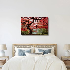 Tablou - Arțarul japonez roșu, Portland, Oregon (90x60 cm)