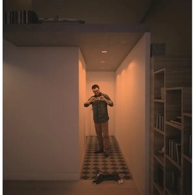 Philips  50393/11/P0 - SET 3xLED Lampă dimmabilă SHELLBARK LED/4,5W/230V