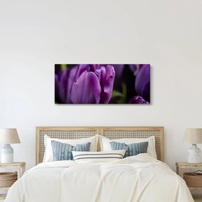 Tablou cu flori de lalele (120x50 cm)