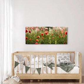 Tablou cu maci (120x50 cm)
