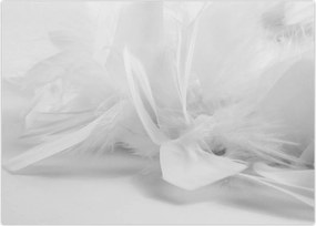 Tablou - Pene (70x50 cm)