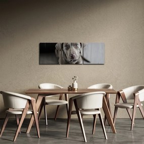 Tablou cu cățeluș (cu ceas) (90x30 cm)