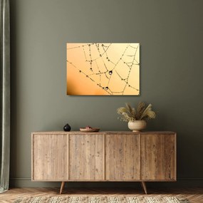 Tablou pe sticlă cu pânză de pâianjen cu rouă (70x50 cm)