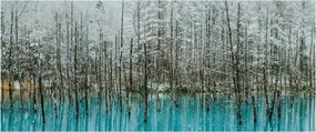 Tablou - Pescărie turcoaz, Biei, Japonia (120x50 cm)