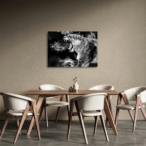Tablou pe sticlă - Portretul unei leoaice (70x50 cm)