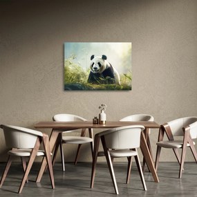 Tablou pe sticlă - Panda (70x50 cm)