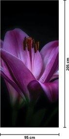 Fototapet pentru ușă - Crini (95x205cm)