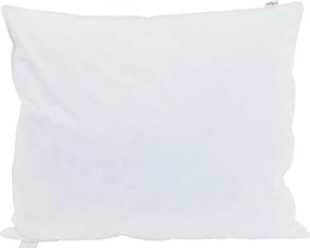 vidaXL Pernă cu pernă 2 pcs Alb 60 x 70 cm Pene