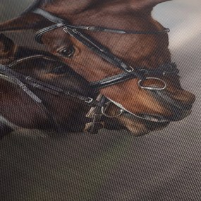 Tablou - Cai îndrăgostiți (120x50 cm)