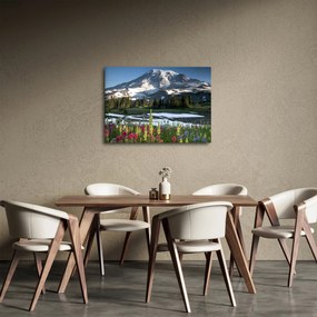 Tablou - Muntele Rainier (70x50 cm)