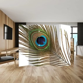 Paravan - Pene de păun (210x170 cm)