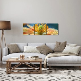 Tablou - Detaliu de floare (cu ceas) (90x30 cm)