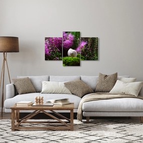 Tablou - Cochilie de melc (90x60 cm)