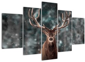 Tablou - Cerbul majestic (150x105 cm)