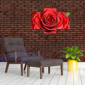 Tablou - Flori de trandafir (90x60 cm)