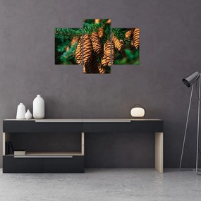 Tablou cu con de brad (90x60 cm)
