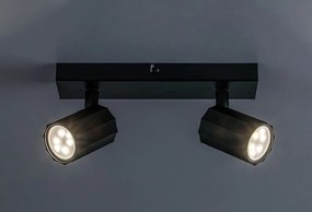 Plafoniera cu 2 Spoturi Directionabile, Design Modern, Rogelio