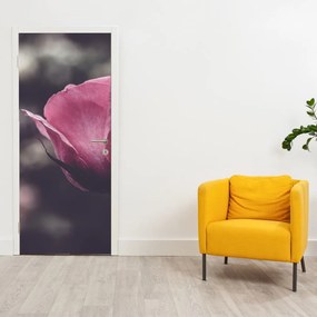 Fototapet pentru ușă - floare în prim plan (95x205cm)