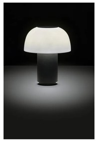 Veioză neagră LED cu intensitate reglabilă din aluminiu (înălțime 22 cm) Harvest – Zone