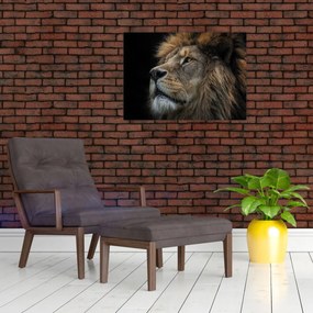 Tablou - Leul maiestuos (70x50 cm)