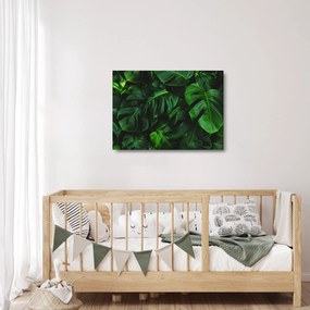 Tablou pe sticlă cu frunze Monstery (70x50 cm)