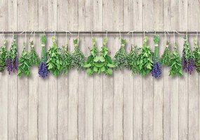 Fototapet - Plante - bej (254x184 cm)