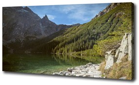 Pictură pe pânză Marine ochi tatry