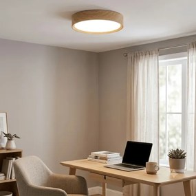 Brilagi - Plafonieră LED NATURA LED/12W/230V 4000K Ø 26,3 cm