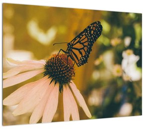 Tablou cu fluture pe floare (70x50 cm)