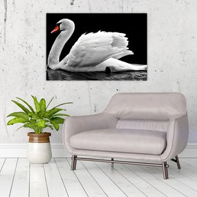 Tablou cu lebăda alb neagră (90x60 cm)