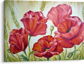 Tablou - Mac - flori (70x50 cm)