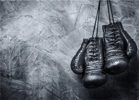 Tablou - Mănuși de box (70x50 cm)