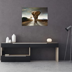Tablou cu elefant (70x50 cm)
