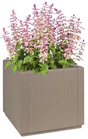 vidaXL Jardinieră Culoare Maro Deschis 36x36x35 cm din PP