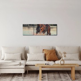 Tablou - Cal care aleargă (cu ceas) (90x30 cm)