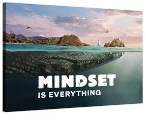 Mindset is everything (Crocodile)