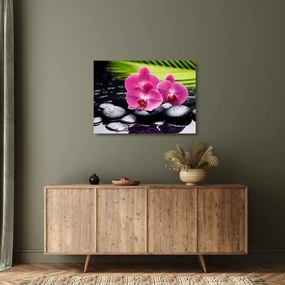 Tablou pe sticlă - Orhidee roz cu frunze de palmier (70x50 cm)